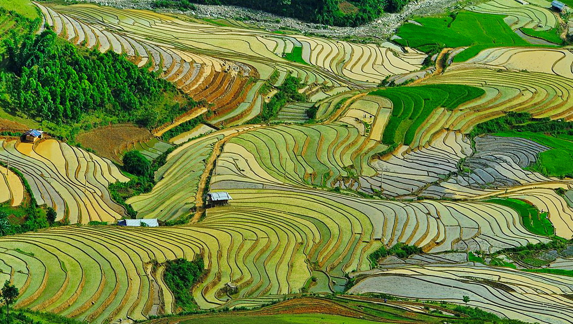 Terraced rice fields in the highlands of Indochina